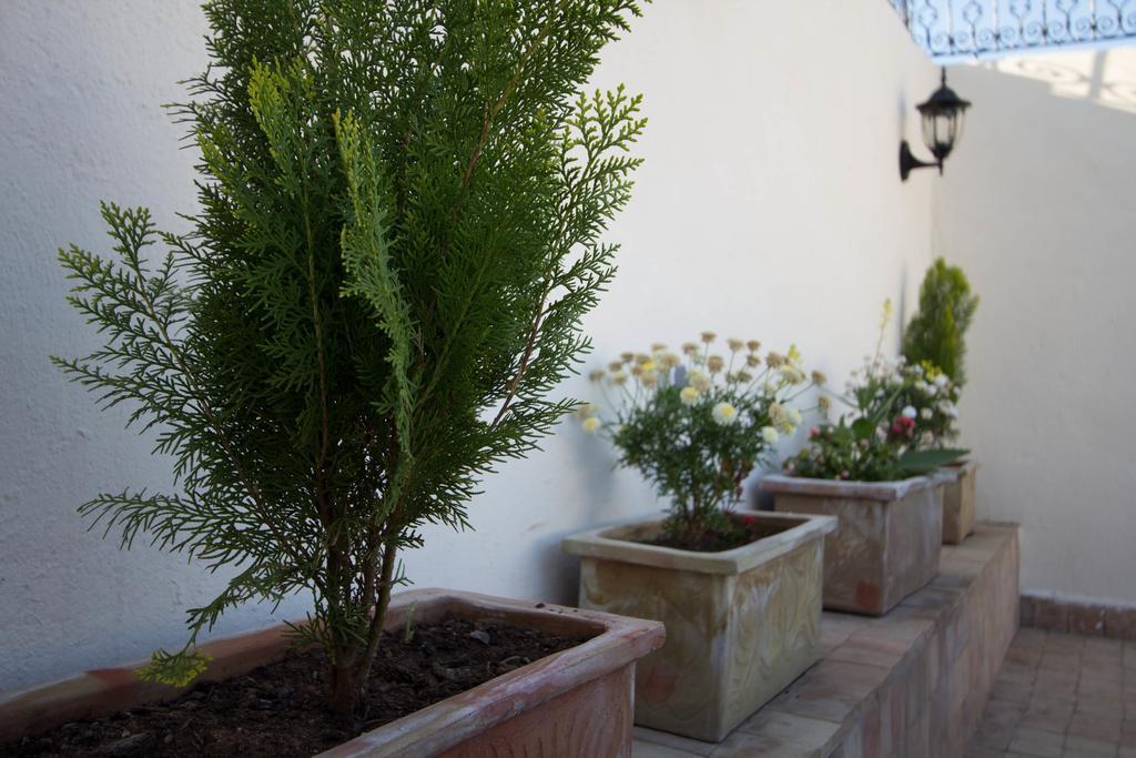 Riad Taha Fès Exteriér fotografie